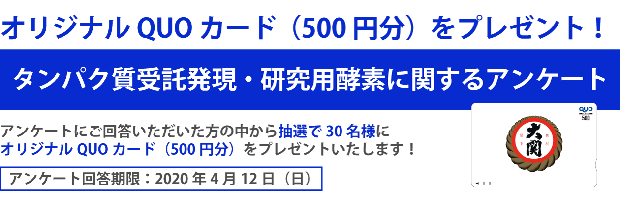 アンケート
