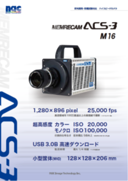 ACS-3 M16