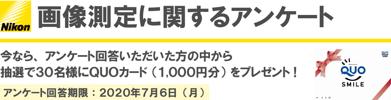 プレゼント
