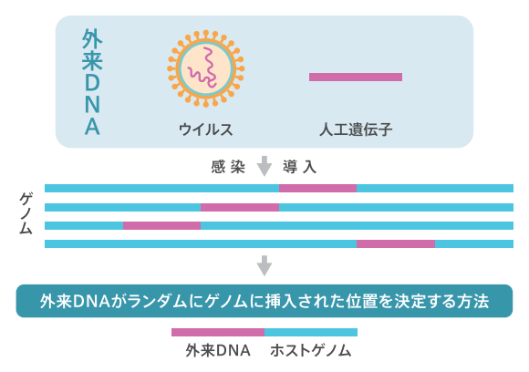 ロゴ